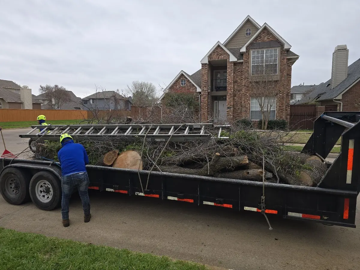 Expert Lot Clearing with proper safety equipment in Ripon